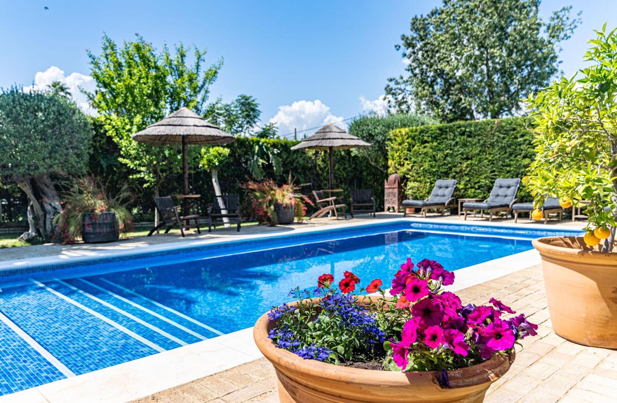 B&B Casa Adelante Sevilla เอสปาร์ตินาส ภายนอก รูปภาพ